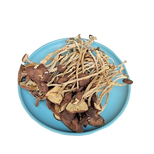新鲜茶树菇干货 新货干品嫩菇不开伞正品保障香菇云南菌子山珍