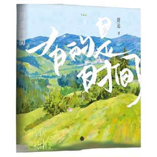 正版包邮 有的是时间 舒远 青春都市言情小说