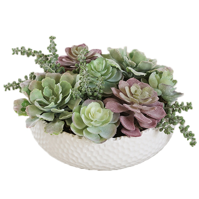 ladylike多肉组合套装仿真植物