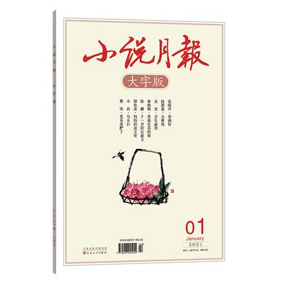 小说月报大字正版期刊