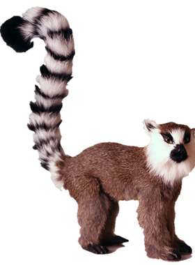 仿真狐猴动物模型摆件