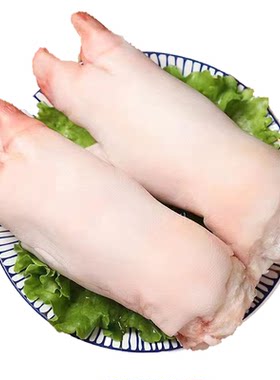 整只带筋猪蹄新鲜猪肉