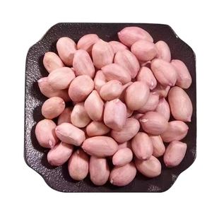 现剥新花生米生新货白沙粉皮新鲜大粒花生米不带壳榨油白沙花生仁