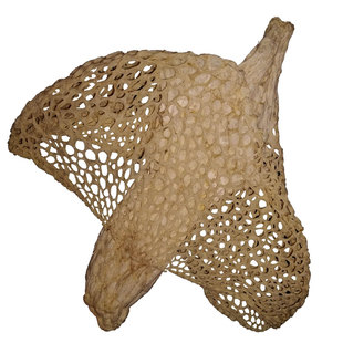 四川竹荪特级干货100g野生农家特产长宁长裙竹笙无硫满一斤送一袋