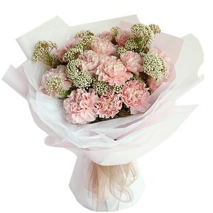 康乃馨母亲节花束小狗马卡龙色妇女教师节探病深圳同城鲜花速递