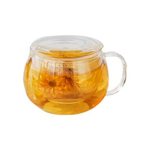 捷安玺水杯玻璃杯女家用2026新款办公室泡茶杯茶水分离杯花茶杯子