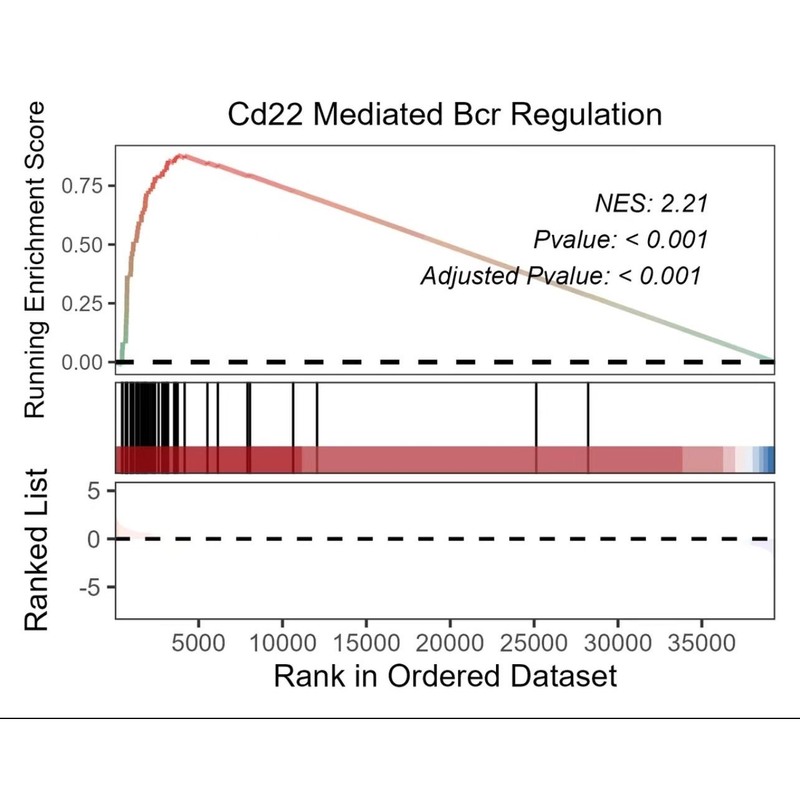 生信分析机器学习 Lasso回归分析 富集分析 随机森林分析 GO/KEGG