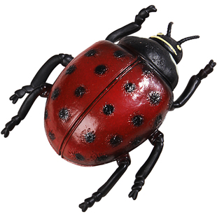 大号儿童玩具仿真动物昆虫模型摆件蟋蟀瓢虫蜘蛛蝎子虫子男孩塑胶