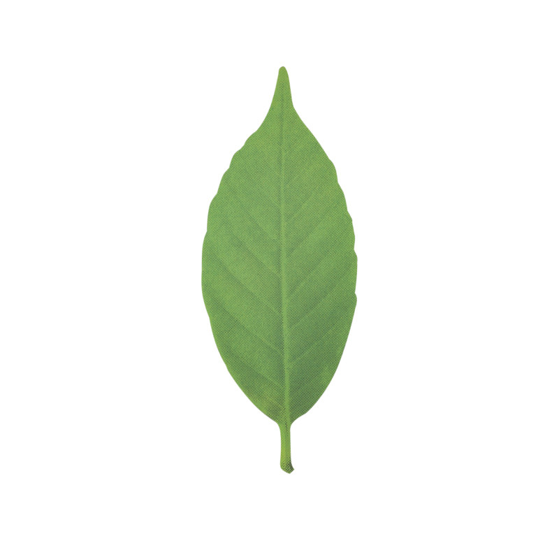 日本进口+D Leaf Thermometer感温变色树叶创意文艺纸质书签礼物
