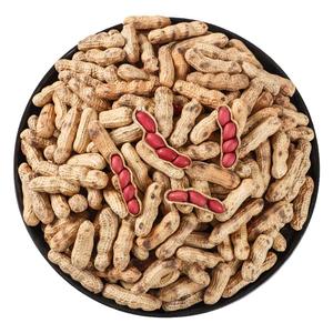 炒花生带壳原味2024新货带壳花生农家铁锅炒花生熟原味炒货红皮