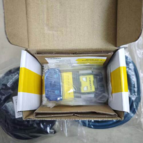 询价-康耐视DM290X-16-SP-05读码器，，实