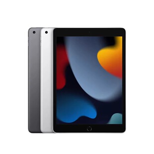 Apple/苹果 iPad (第九代) 无线局域网机型iPad9代10.2寸平板电脑
