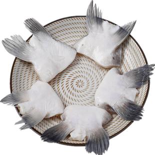 鮰鱼鳍回鱼翅清江鱼翅巴沙鱼鳍生鲜淡水鱼翅鱼鳍鲜活水产烧烤食材