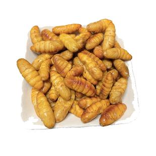 金丝蛹包邮山东特产桑蚕蛹黄金蛹鲜活冷冻高蛋白蚕蛹金丝蚕蛹蝉