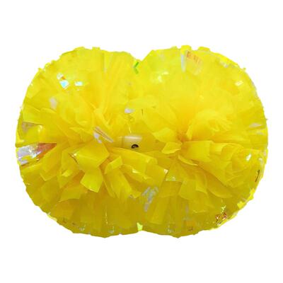 专业比赛啦啦操花球拉拉队