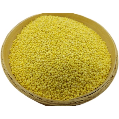 新米大黄米包粽子黏黄米