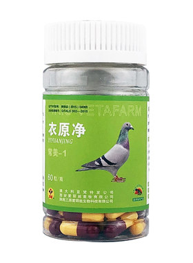 爱丽丝衣原净单眼流泪衣元净