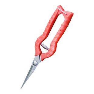 种花王大爷 不锈钢园林 剪刀剪果树剪树枝 修枝 小红多功能省力