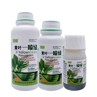 珺颜黄叶一喷绿小叶变大黄叶变绿蔬菜花卉果树微量元素通用水溶肥