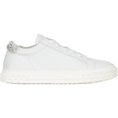 女士春夏blabber运动鞋