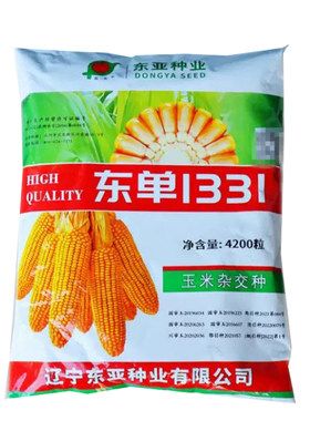 原装4200粒东单1331玉米种子
