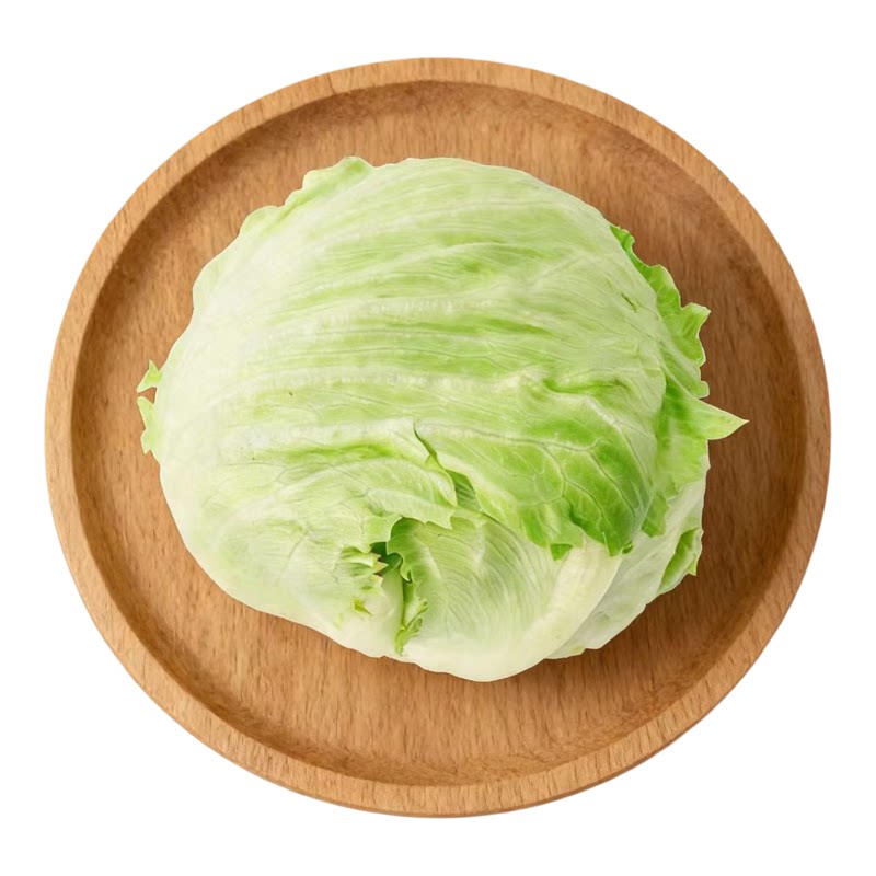 球生菜西生菜汉堡沙拉食材