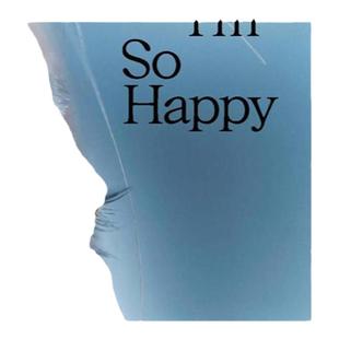 预售 Im So Happy You Are Here: 真开心有你在 川内伦子 片山真理野口里佳 Japanese Women Photographers From The 1950S To Now