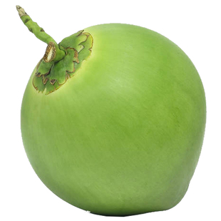 海南椰青新鲜椰子现摘青椰子孕妇水果三亚带皮嫩椰5个装多省包邮