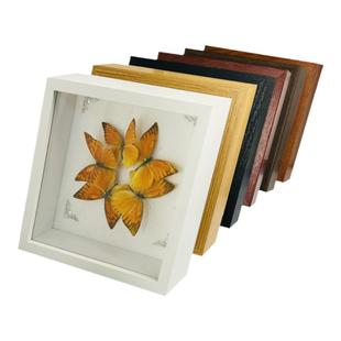 蝴蝶昆虫标本真玻璃中空相框镜面植物标本手工DIY材料装饰画摆台