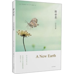 官方正版 新世界灵性的觉醒 艾克哈特托尔著遇见未知的自己张德芬译从宗教和佛学中寻找生活智慧哲学宗教读物书心理学心灵修身书籍