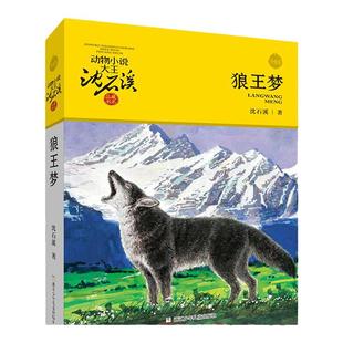当当网正版 沈石溪动物小说全集 狼王梦品藏书系全套41册 童书经典斑羚飞渡第七条猎狗任选 9-12岁小学生四五六年级课外经典阅读书