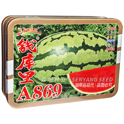 西瓜种子双红瓤高产抗病耐重茬