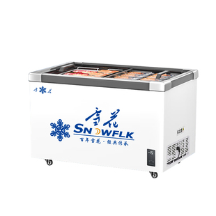 【69年国企旗舰店】雪花冰柜商用冷冻柜雪糕冷冻展示柜玻璃门岛柜