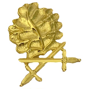 百搭双剑橡树叶勋章骑士勋章配件雪绒花徽章铁十字胸针蝴蝶扣针版