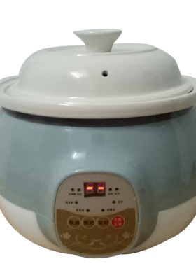电炖锅家用煲汤全自动陶瓷煮粥锅