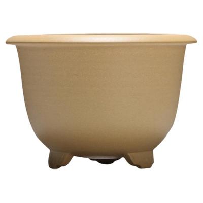 原矿古典风梅花茉莉段泥盆景栽