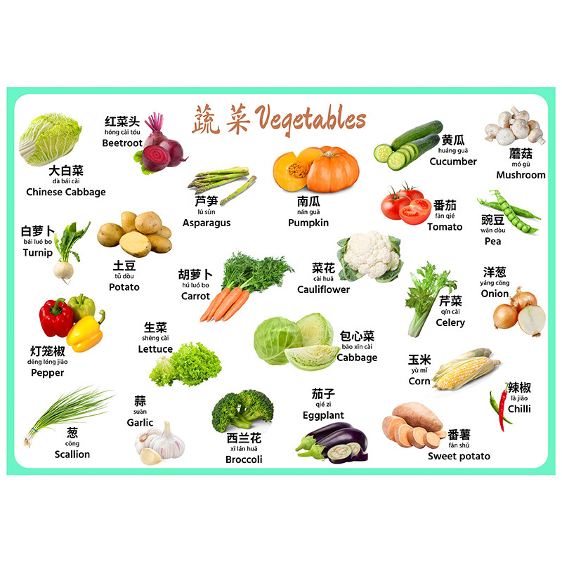 安静书 中英文单词闪卡幼儿童思维导图交通动物蔬果数字认知卡片
