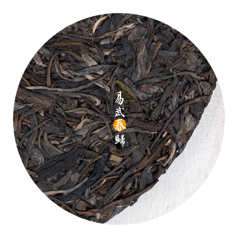 古树生茶梅子春归甘甜357g普洱