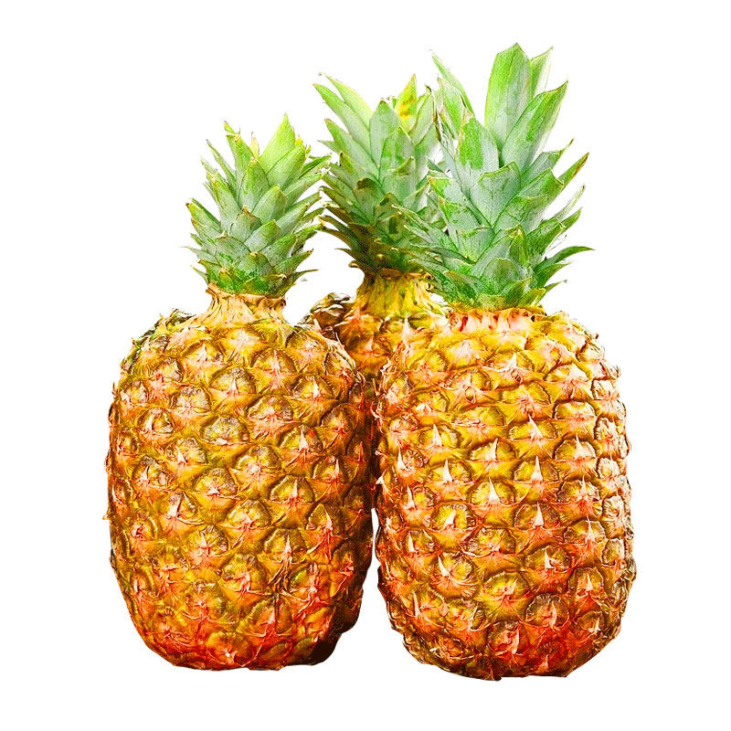 新品限时降价!金钻凤梨菠萝香甜