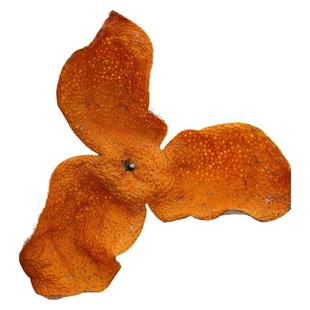 新会2025年二红新陈皮广东特产茶枝柑鲜果泡水当年新橘皮自己陈化