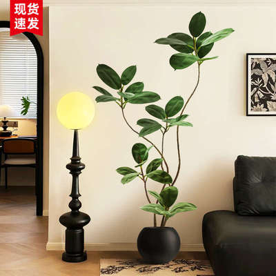 大型客厅落地摆件室内沙发电视柜旁边假植物黑金刚橡皮树仿真绿植