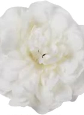 傣族舞蹈缅桂花开朵朵奶白色手花双花头花女儿花红色牡丹道具对花