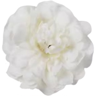 傣族舞蹈缅桂花开朵朵奶白色手花双花头花女儿花红色牡丹道具对花