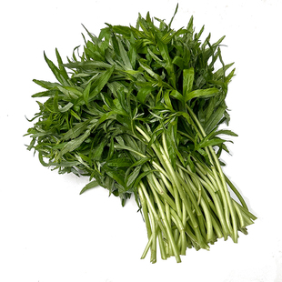 洪湖新鲜藜蒿农家时令蔬菜泥蒿篱黎蒌蒿野生当季芦蒿野菜湖北特产