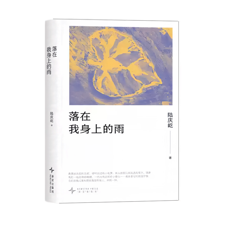 落在我身上的雨 陆庆屹《四个春天》之外镜头未能承载的回忆散文集  书写跨越余生的重逢 一本温柔又辽阔的浮生手记 正版书籍