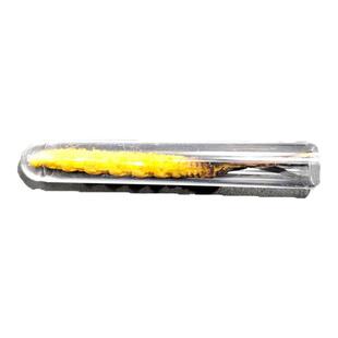 新鲜虫草真空管子细管子冬虫夏草防断独立塑料分装瓶虫草管真空袋