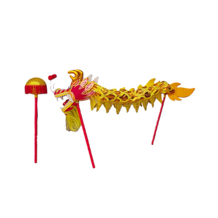 幼儿童舞龙道具小学生运动会舞龙舞狮表演出龙灯活动全整套昊一家