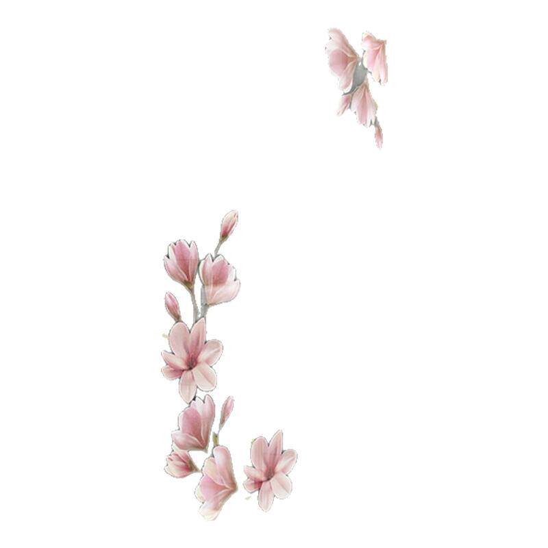 玻璃白玉兰花卉春天商场展厅贴画