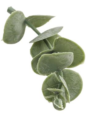 花束点缀配草鱼缸造景植物墙