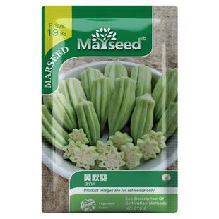 【MARSEED火星家】黄秋葵种子籽孑蔬菜四季阳台盆栽蔬果